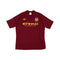 Manchester City Alternativa 12/13