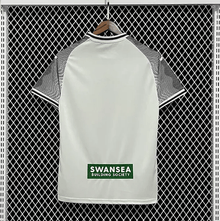 Principal de Swansea 2023/24