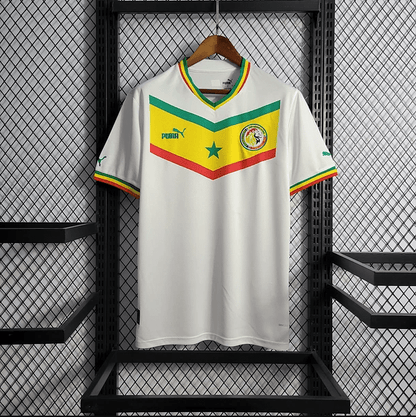 Sénégal 2023 Principal