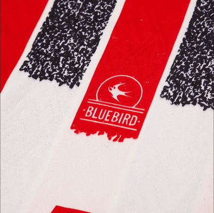 Cardiff 1993/94 Alternative