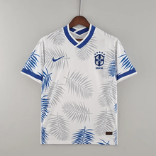 Brésil 2022