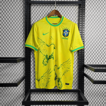 Brésil 22/23