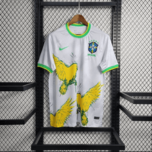 Brésil 22/23