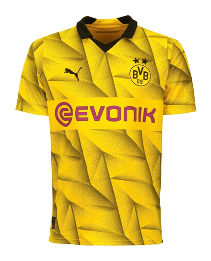 Borussia Dortmund 23/24