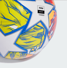Ballon de football de la Ligue des champions