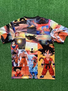 Japon « Dragon Ball » 23/24