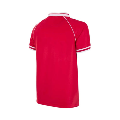 Benfica Domicile 94/95